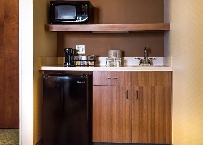 Hotel Springhill By Marriott Chicago Naperville 3*